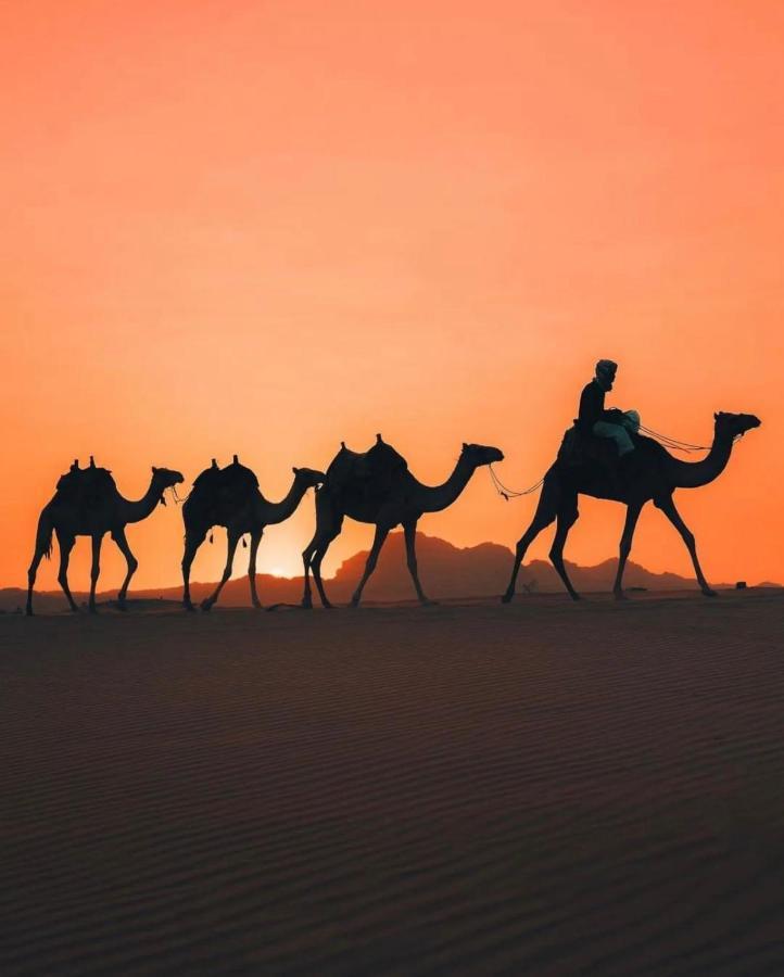 Rum Joharh Luxury Camp Wadi Rum Exterior foto